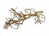 Tantora Korzeń Branch Drift Wood 25-30Cm Piękny Selekcja GRATIS!